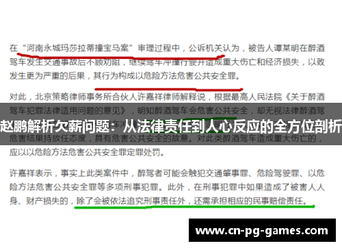 赵鹏解析欠薪问题：从法律责任到人心反应的全方位剖析