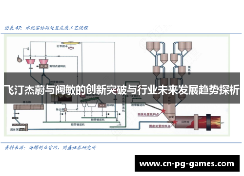 飞汀杰蔚与阀敏的创新突破与行业未来发展趋势探析